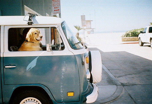 Tr☼pical paradise.