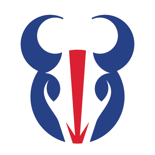 Buffalo Bills NFL Football Team Logo 3” Long Embroidered Souvenir Patch  Emblem
