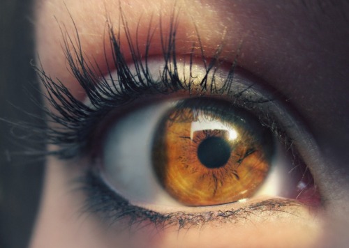 gentemariconaeverywhere:  Una mirada dice más que mil palabras Tiene una pasion esa mirada… que profunda <3 