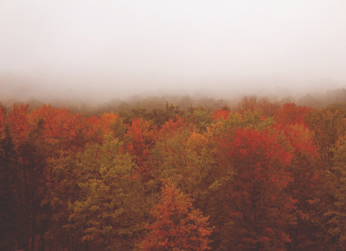 thegestianpoet:  Upstate NY: the photoset.