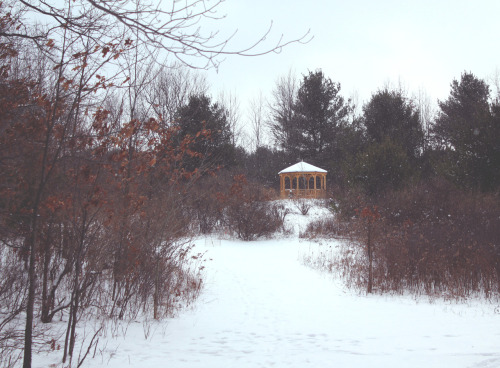thegestianpoet:  Upstate NY: the photoset.