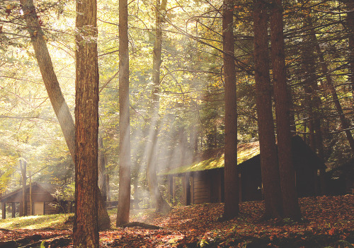 thegestianpoet:  Upstate NY: the photoset.