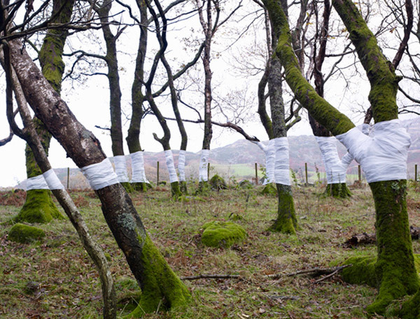 showslow:  Zander Olsen, Tree,Line. This is an ongoing series of constructed photographs