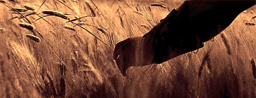 just-an-irish-rose:If this was an opening scene in Wallander, we would be happening
