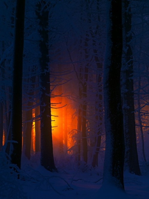 XXX le-piu-belle:  Winter Sunrise  photo