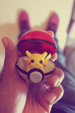 pokemon-photography:  Pikachu 1999 