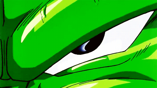 Tenkaichi Budokai