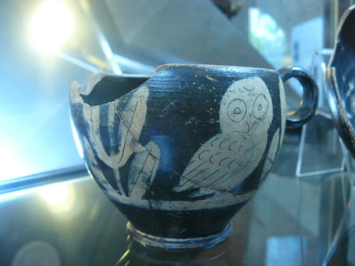 quidquid:  From the Archaeology Museum in Orvieto LOOK AT THE PUDGEY OWL