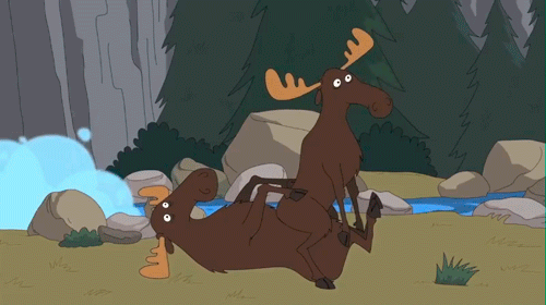 slympikkinz:  Brickleberry 