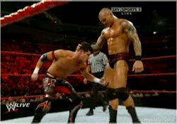 I F’n love this gif so much! Love how Randy
