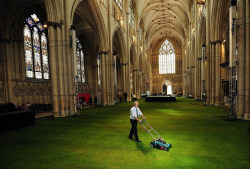 thekhooll:  The Green Cathedral UK turf