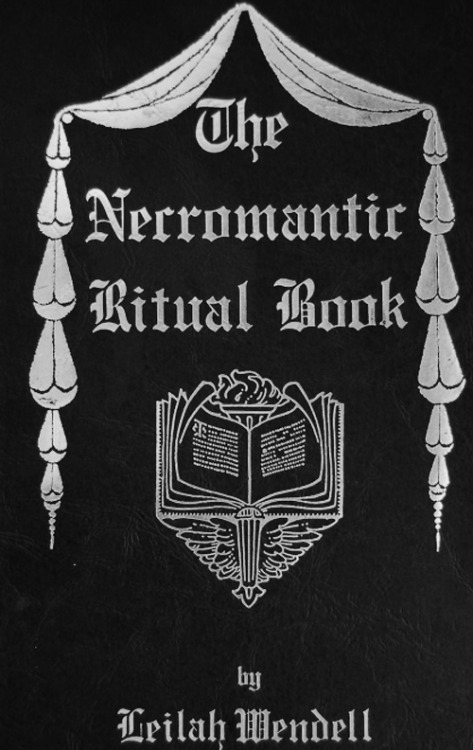 Necromantic Meatbag