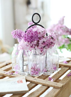 bridalsnob:  Lavender centerpiece idea 