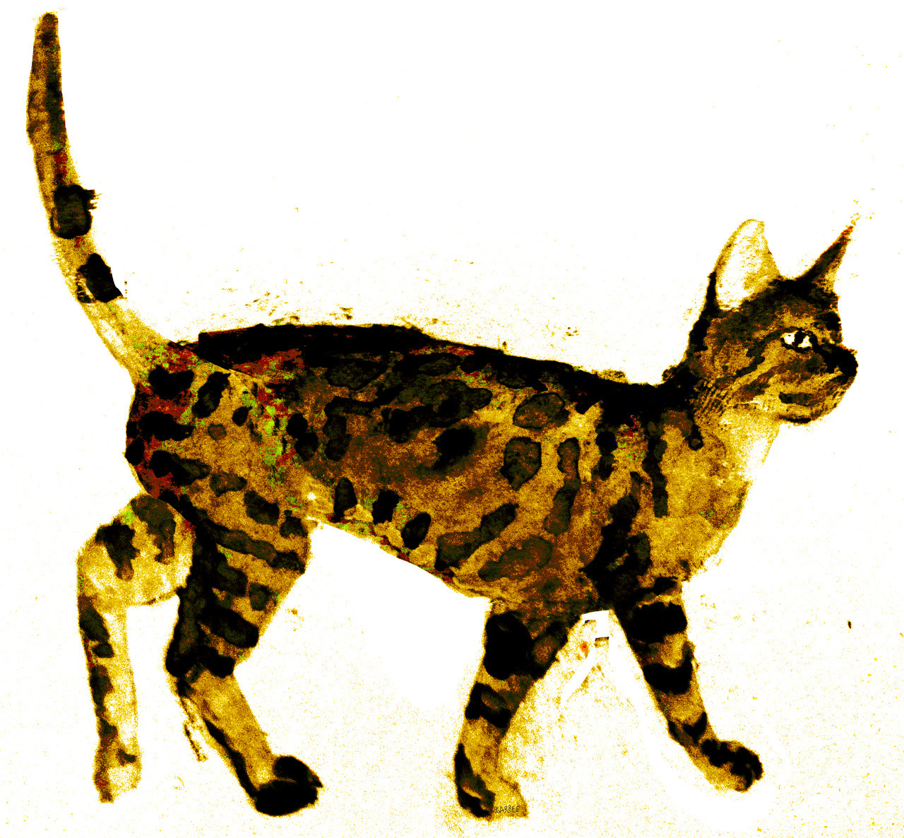 bgarbee:
“ cat explores. watercolors/multimedia.
brendan garbee
”