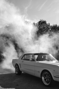 premiumdigit:  Ford Mustang 1964 