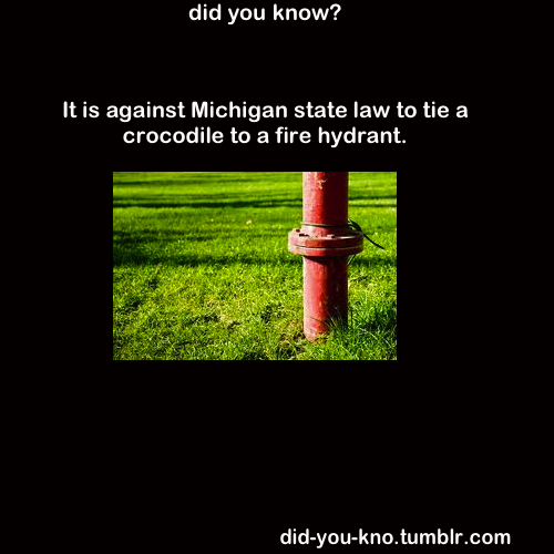 did-you-kno:  Source