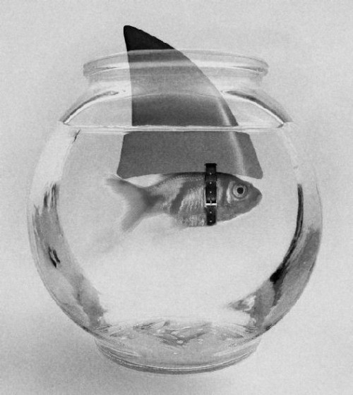 thingsanotherworld.tumblr.com/post/33144768167/