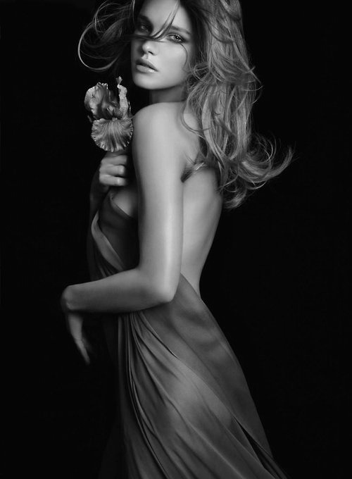 touchn2btouched:  “I love you as certain dark things are loved, secretly, between