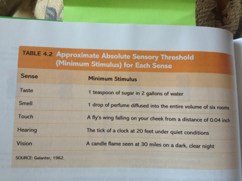 nakedbutter: Minimum amounts of things that can be detected by our senses