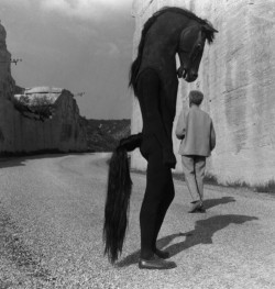 blackandwtf:  1960 This horseman is from the 1960 Jean Cocteau film Testament of Orpheus.  (via submission)