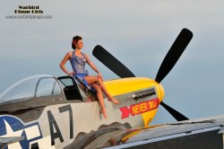 Warbird pinup girls