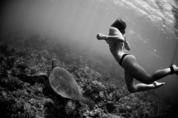 aquaticwonder:  Under the Ocean  en esta foto&hellip; están las tres cosas que más admiro&hellip; el mar, las tortugas, y las mujeres *-* 