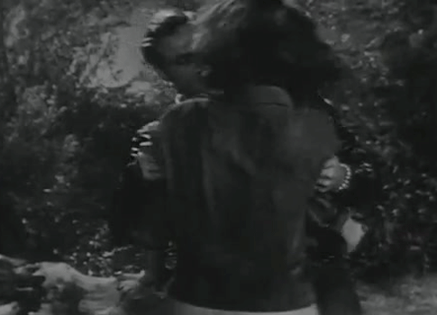 filmsploitation:  The Wild One (1953) dir. Laslo Benedek 