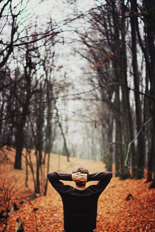 avidadeumagorda.tumblr.com/post/44139871452/