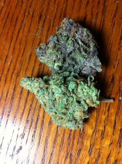 longbongjohnson:  the buds hangin out blue dream and purple wreck!
