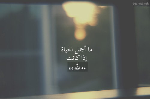 دلال سعد