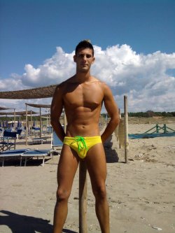 Speedo Dreaming