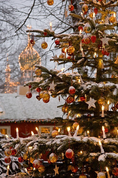 decemberfreeze:  hecka rad winter/christmas blog