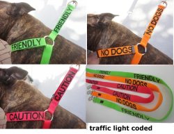 Hopefulveterinarian:  Excellent Alternative To The Yellow Ribbon Concept. Check Them