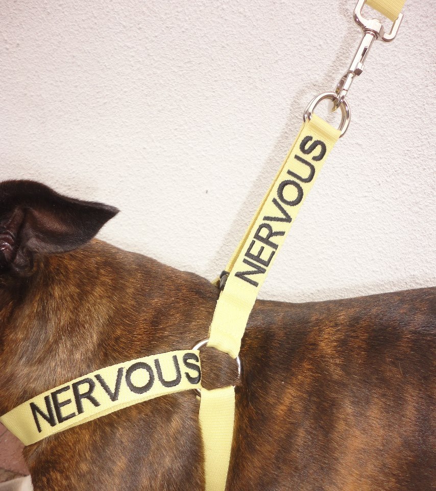hopefulveterinarian:  Excellent alternative to the yellow ribbon concept. Check them