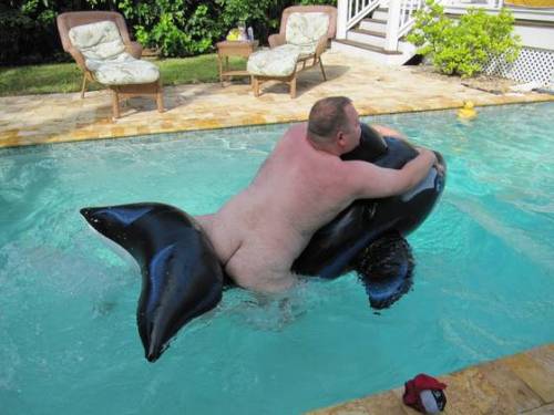 superbears:  CUTIE  Oh, I’d like to play with him… 