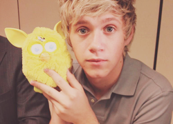 malikthrust-blog:  Niall on Twitter/Instagram. 