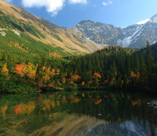 Autumn reflections on Ťatliak Lake in High Tatras, Slovakia (by mariannakoutna).