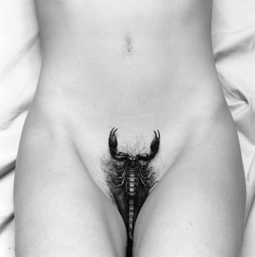 oracionessucias:  Robert Mapplethorpe - Lisa porn pictures