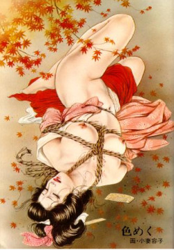 japanese shibari rope http://www.tumblr.com/blog/outrageousredhead