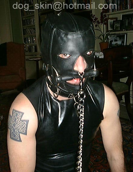 fcukpuppy:  Collection - 34 