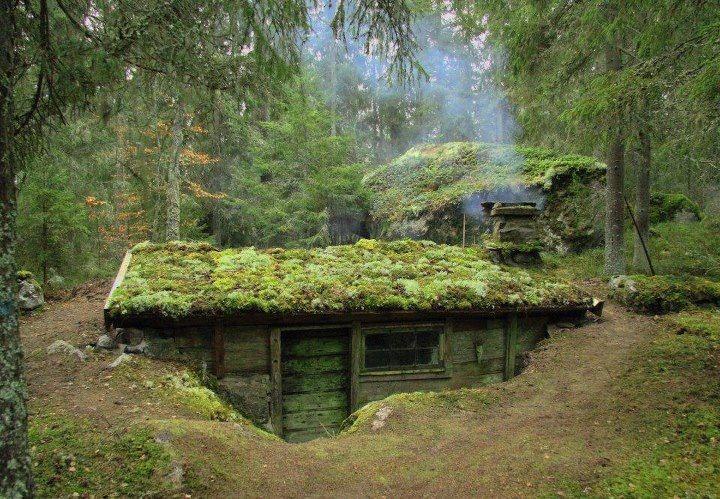 Welcome To The Forest Of The Elves