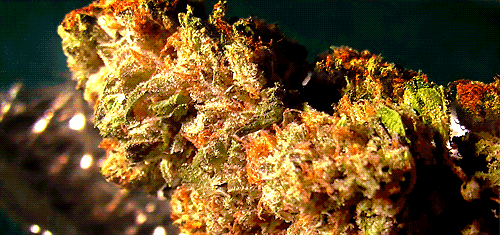 go-comatose-for-me-baby:  That sticky icky 
