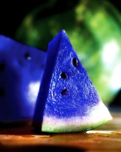 zombie-alpaca-sex-tarp:  bestrooftalkever:  coolstoryrob:  meeeeeeeeeeeeeeeeeeerlin:  serionsly:  voyagevisuelle:  This a Moonmelon, scientifically knows as asidus. This fruit grows in some parts of Japan, and is known for its vibrant blue color. What