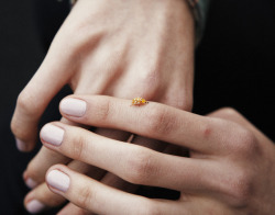 picpicpiczo:  Yellow Ladybug on Paula Mulazzani 