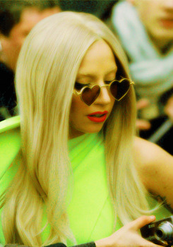 Paws UP