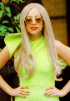 Paws UP