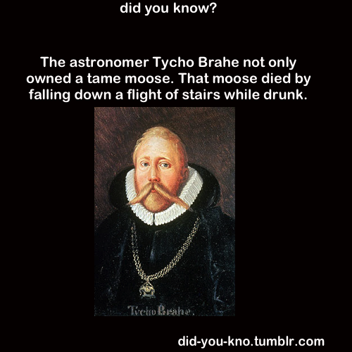 did-you-kno:  Source