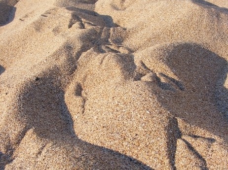 sciencecenter:  Which is the biggest number? a) Grains of sand in the entire world