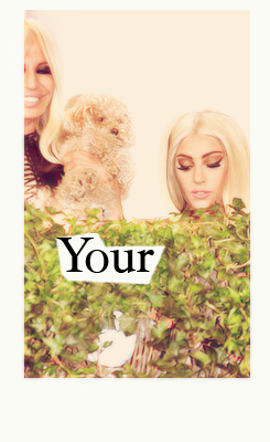 The Gaga Effect