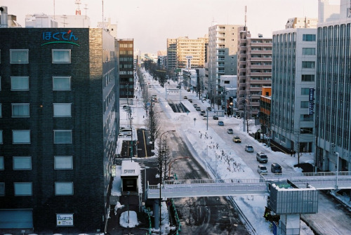 novemberschopin: Oodori Park in Sapporo #2 (by masapapa)